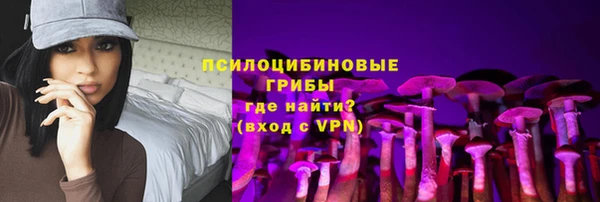 эйфоретик Алексеевка