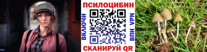 Галлюциногенные грибы Psilocybine cubensis Балашиха